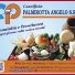 CP CASEIFICIO PALMIROTTA