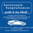 AUTOSCUOLA SANGIULIANESE