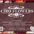CIRO FLOWERS