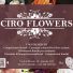 CIRO FLOWERS