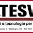 TESVE