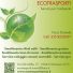 ECOTRASPORTI