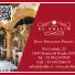 HOTEL AL COLLIO