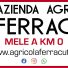 AZIENDA AGRICOLA FERRACUTI