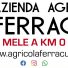 AZIENDA AGRICOLA FERRACUTI