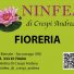 NINFEA