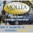 ONORANZE FUNEBRI MOLLEA