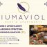 PIUMAVIOLA BEDS & APARTMENTS