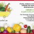 ORTO DEL VICINO KM0