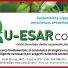 QU-ESAR CONSULT