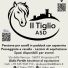 IL TIGLIO ASD