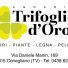 TRIFOGLIO D'ORO