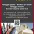 SOLUTION RENT