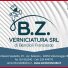 B.Z. VERNICIATURA
