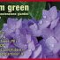 SYSTEM GREEN