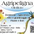 AGRIPELIGNA OLEIFICIO