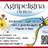 AGRIPELIGNA OLEIFICIO