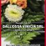 DALL'OSSA VINICIA