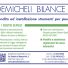 DEMICHELI BILANCE