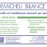 DEMICHELI BILANCE