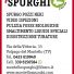 MONTELLO SPURGHI