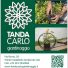 TANDA CARLO