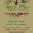 TERRA MIA TRATTORIA