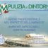 PULIZIA E DINTORNI