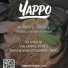 YAPPO
