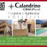 CALANDRINO GROUP