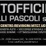 AUTOFFICINA F.LLI PASCOLI