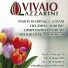 VIVAIO LAZZARINI