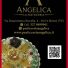 ANGELICA