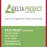 DELTA PROJECT ENGINEERING