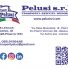 AUTOTRASPORTI TEAM PELUSI