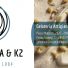 GELATOMANIA & K2