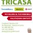 GRUPPO IMMOBILIARE TRICASA