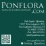 PONFLORA.COM