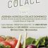 VIVAIO COLACE